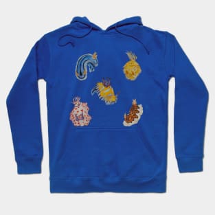 Nudibranchs Hoodie